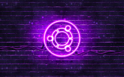 Ubuntu violet logo, 4k, violet brickwall, Ubuntu logo, Linux, Ubuntu neon logo, Ubuntu