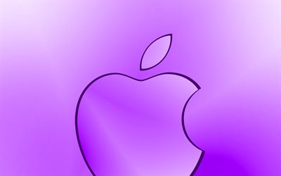 apple-violett-logo, kreativ, violett, unscharfen hintergrund, minimal, apple-logo, cover, apple