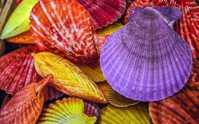 colored seashells texture, seashells background, purple seashells, red seashells, yellow seashells