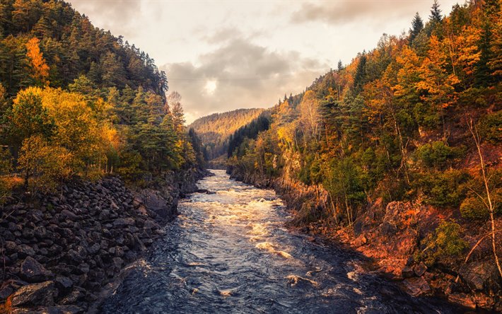 autumn landscape, river, autumn, yellow trees, forest, stones, mountain landscape, mountain river