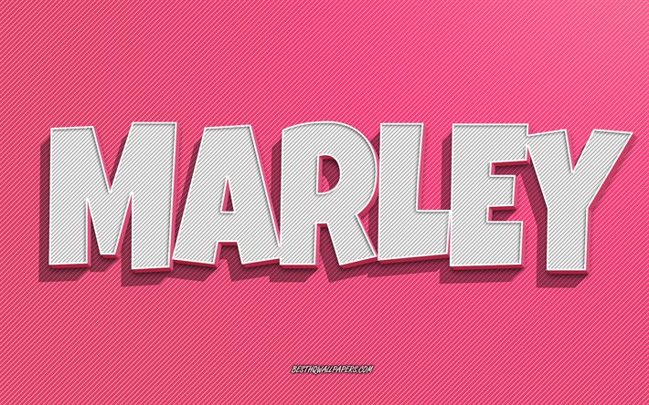 Marley, fond de lignes roses, fonds d&#39;&#233;cran avec des noms, nom Marley, noms f&#233;minins, carte de voeux Marley, dessin au trait, photo avec nom Marley