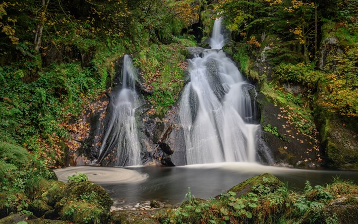 Twin Falls, vattenfall, skog, Schwarzwald, Baden-W&#252;rttemberg, skogsvattenfall, Tyskland
