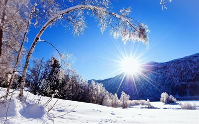 hiver, neige, montagne, for&#234;t, rivi&#232;re, paysage d&#39;hiver
