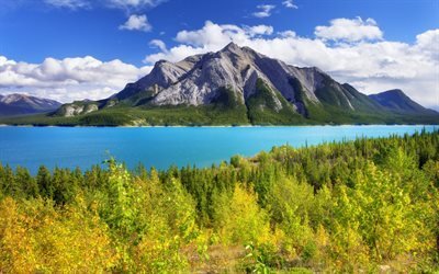 Abra&#227;o Lago, ver&#227;o, montanha, lago azul, Alberta, Canad&#225;, O Parque Nacional De Banff