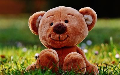 teddy bear, 4k, pembe ayı, sevimli oyuncak