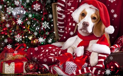 4k, Happy New Year 2018, beagle, year of dog, Christmas 2018, creative, New Year 2018, xmas, Christmas decoration