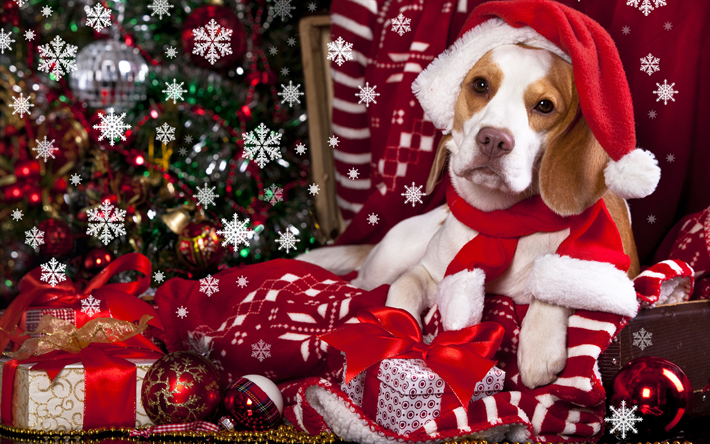 4k, 謹賀新年度の2018年, ビーグル, 年の犬, クリスマス2018年, 創造, 新しい年度の2018年, クリスマス, クリスマスの飾り