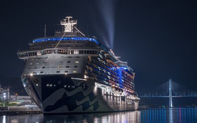 Majestic Princess, luxury ship, cruise liner, evening, seaport