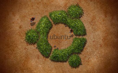 Ubuntu, grass, 3d logo de Ubuntu, el logotipo, la creatividad, el Linux