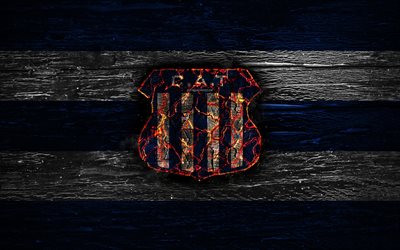 Talleres Cordoba FC, le feu logo, en Argentine Primera Division, le bleu et le blanc des lignes, l&#39;Argentin du club de football, AAAJ, l&#39;Argentine Superliga, le football, le soccer, le logo, CA Talleres Cordoba, en bois, texture, Argentine