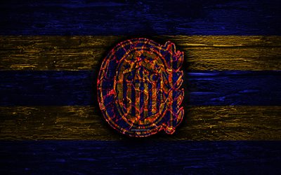 Rosario Central FC, fogo logotipo, Argentina Primera Divis&#227;o, azul e amarelo linhas, Argentino de futebol do clube, AAAJ, Argentina Superliga, futebol, logo, CA Rosario Central, textura de madeira, Argentina