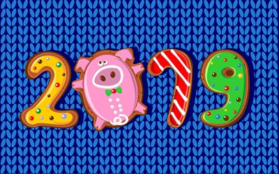 2019 New Year, blue knitted texture, cookies, creative 2019 art, blue 2019 background, pig cookies, 2019 concepts, 2019 year