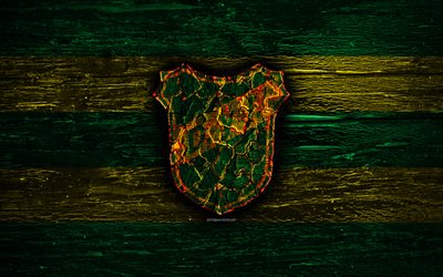 Defensa y Justicia FC, fire logo, Argentine Primera Division, green and yellow lines, Argentinean football club, AAAJ, Argentina Superliga, football, soccer, logo, CSD Defensa y Justicia, wooden texture, Argentina