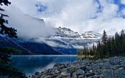 lago de montaña, bosque, montaña, niebla, rocas