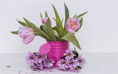 pink tulips, spring decoration, gerberas, tulips, spring