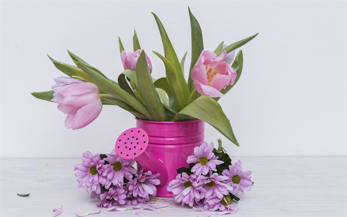 tulipani rosa, decorazione primavera, gerbere, tulipani, primavera