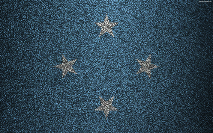 フラグのミクロネシア連邦, 4K, 革の質感, オセアニア, ミクロネシア連邦, 世界の国旗