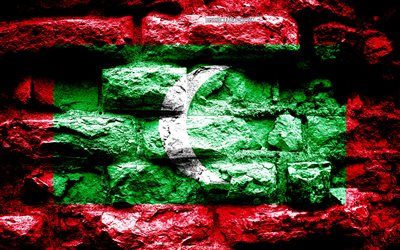 Empire of Maldiverna, grunge tegel konsistens, Flagga av Maldiverna, flaggan p&#229; v&#228;ggen, Maldiverna, flaggor fr&#229;n l&#228;nder i Asien