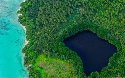 laguna blu, isola tropicale, vista dall&#39;alto, palme, estate, isola con palme