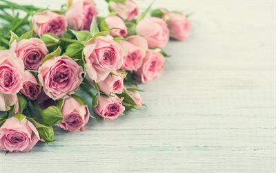 bukett av rosa rosor, rosa bukett rosor, rosa blommor, rosa rosor, bakgrund med rosor