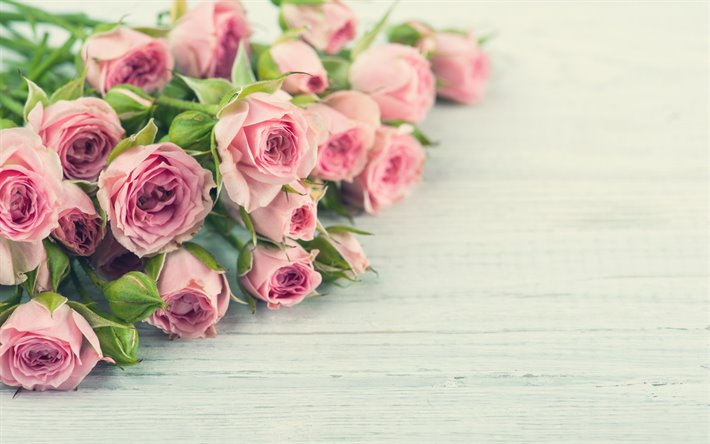 ramo de rosas de color rosa, rosa ramo de rosas, flores rosas, rosas de color rosa, fondo con rosas