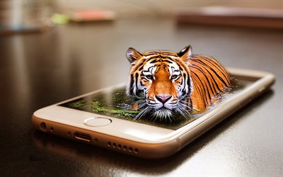 tiger, smartphone, water, creative
