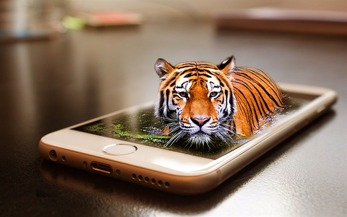 el tigre, el smartphone, el agua, el creativo