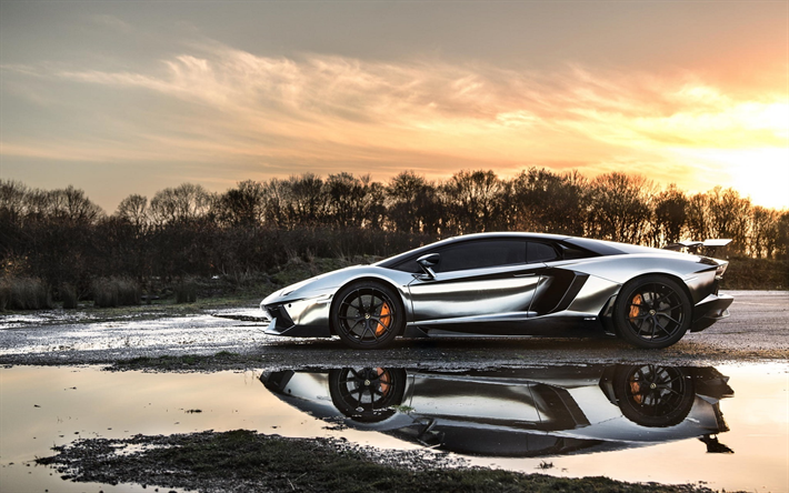 Lamborghini Aventador, side view, supercars, bilar, silver Aventador, Lamborghini