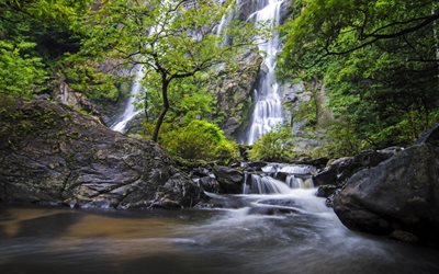 waterfall, rock, forest, mountain river, stones, water