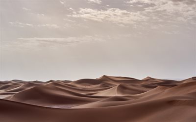 d&#233;sert, dunes, sable, coucher de soleil, les dunes de sable