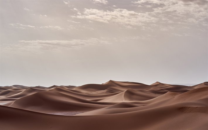 desierto, las dunas, la arena, sunset, dunas de arena