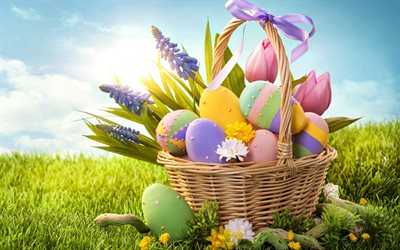 Uova di pasqua, primavera, cesto di uova, fiori di primavera, Pasqua, concetti
