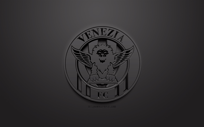 Venezia FC, kreativa 3D-logotyp, svart bakgrund, 3d-emblem, Italiensk fotboll club, Serie B, Venedig, Italien, 3d-konst, fotboll, snygg 3d-logo
