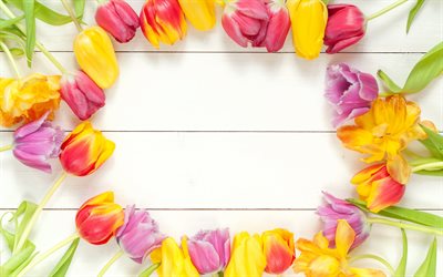 los tulipanes, flores, marco de madera, fondo blanco, marco de tulipanes, tulipanes amarillos, flores de la primavera