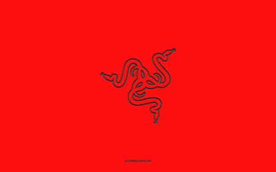 razer logotipo, 4k, gradiente vermelho de fundo, razer carbono logotipo, fundo vermelho, razer, razer emblema