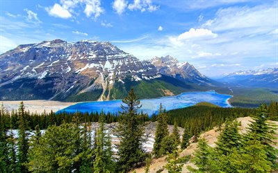 4k, el lago peyto, el parque nacional de banff, los monumentos canadienses, las monta&#241;as, el verano, la hermosa naturaleza, banff, hdr, canad&#225;, alberta, el lago azul