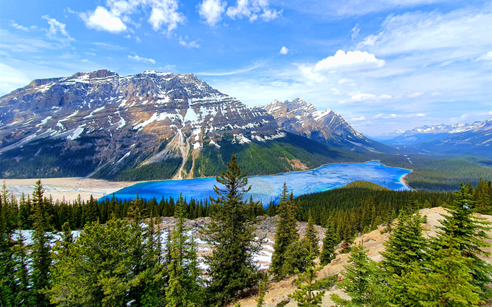 4k, peyto lake, parque nacional de banff, canadense marcos, montanhas, ver&#227;o, bela natureza, banff, hdr, canad&#225;, alberta, lago azul