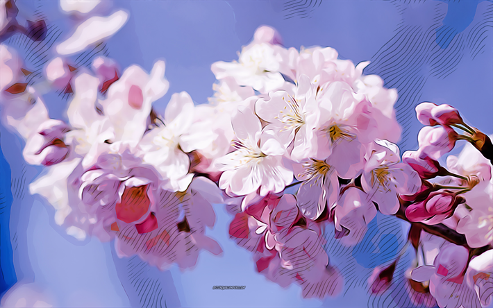 sakura, flor de cerezo, 4k, arte vectorial, dibujo de sakura, arte creativo, arte de sakura, dibujo vectorial, flores abstractas, flores de primavera