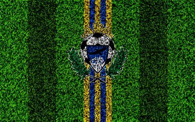 AD Alcorcon, logo, 4k, football lawn, Spanish football club, LaLiga2, blue-yellow lines, grass texture, Segunda, Division B, Alcorcon, Spain, football, Alcorcon FC