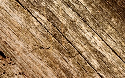 madeira diagonal textura, macro, de madeira marrom de fundo, planos de fundo madeira, brown fundos, diagonal de madeira padr&#227;o