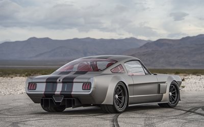 Ford Mustang, Vicious, Timeless, 1965 Custom Mustang, gray sports coupe, retro cars, gray matte Mustang, tuning Mustang, american cars, Ford