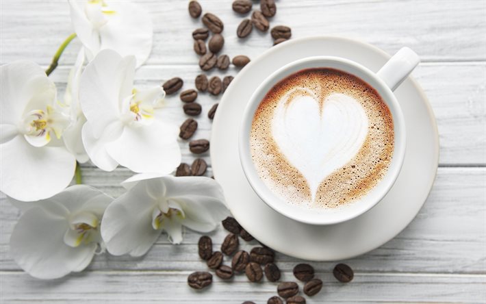 Kahve, kahve kavramlar &#252;zerinde kahve, beyaz fincan, &#231;izimler, kahve, kahve &#231;ekirdekleri, fincan seviyorum