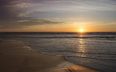 seascape, sunset, v&#229;gor, beach, kv&#228;ll, vacker solnedg&#229;ng, havet