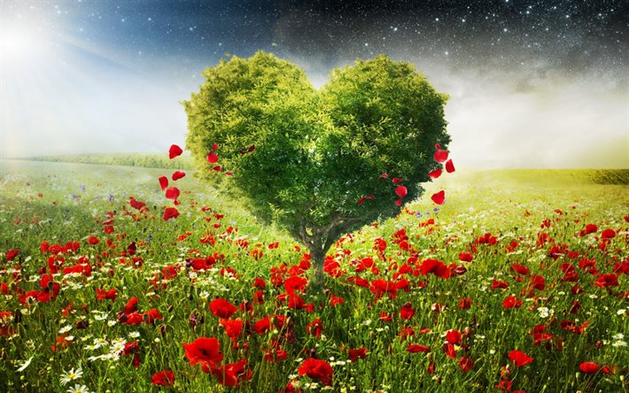 tree heart, red wildflowers, love nature, ecology, environment, heart shaped tree, love the earth