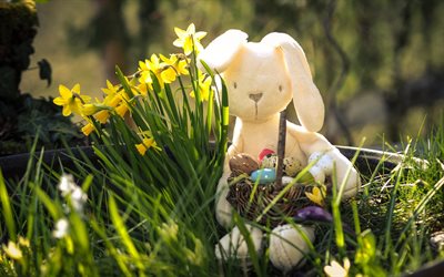 Coniglietto di pasqua, Teddy, Coniglietto di primavera, pasqua, uova, coniglio con cesto, Pasqua