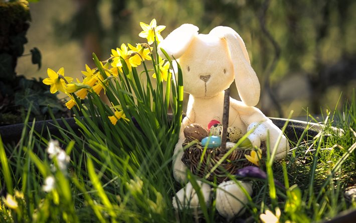 Easter Bunny, Teddy Bunny, spring, easter eggs, rabbit with a basket, Easter