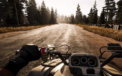 Far Cry 5, 2017, motorcycle riding, game world, sunset, road