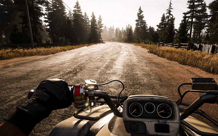 Far Cry 5, 2017, el uso de la moto, juego de mundo, puesta de sol, carretera