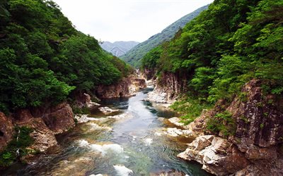 Nikko Parco Nazionale, 4k, fiume di montagna, scogliere, foreste, Giappone, Asiatico, giapponese, punti di riferimento