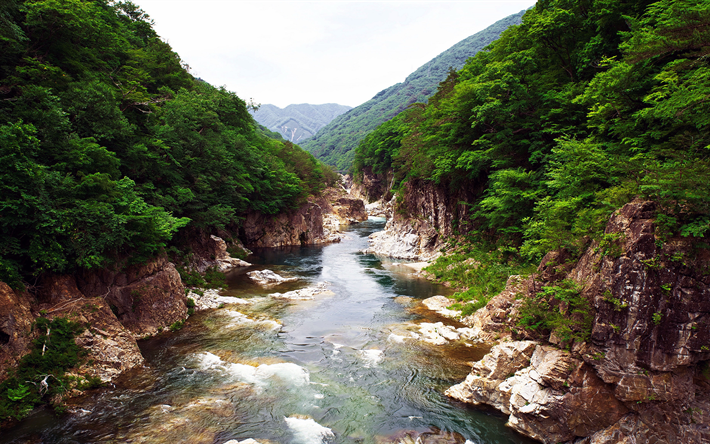 Nikko Ulusal Parkı, 4k, dağ nehir, cliffs, orman, Japonya, Asya, Japon yerlerinden